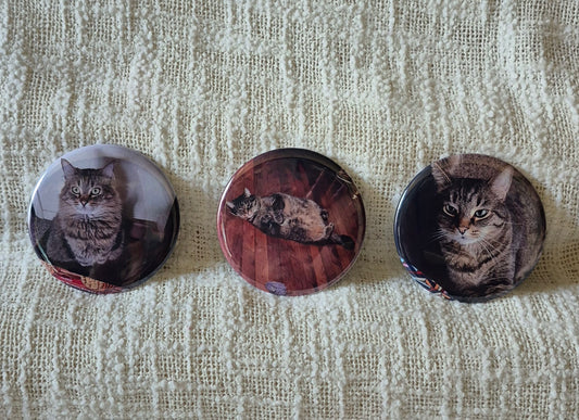 Custom Round Photo Magnet - Set of 3