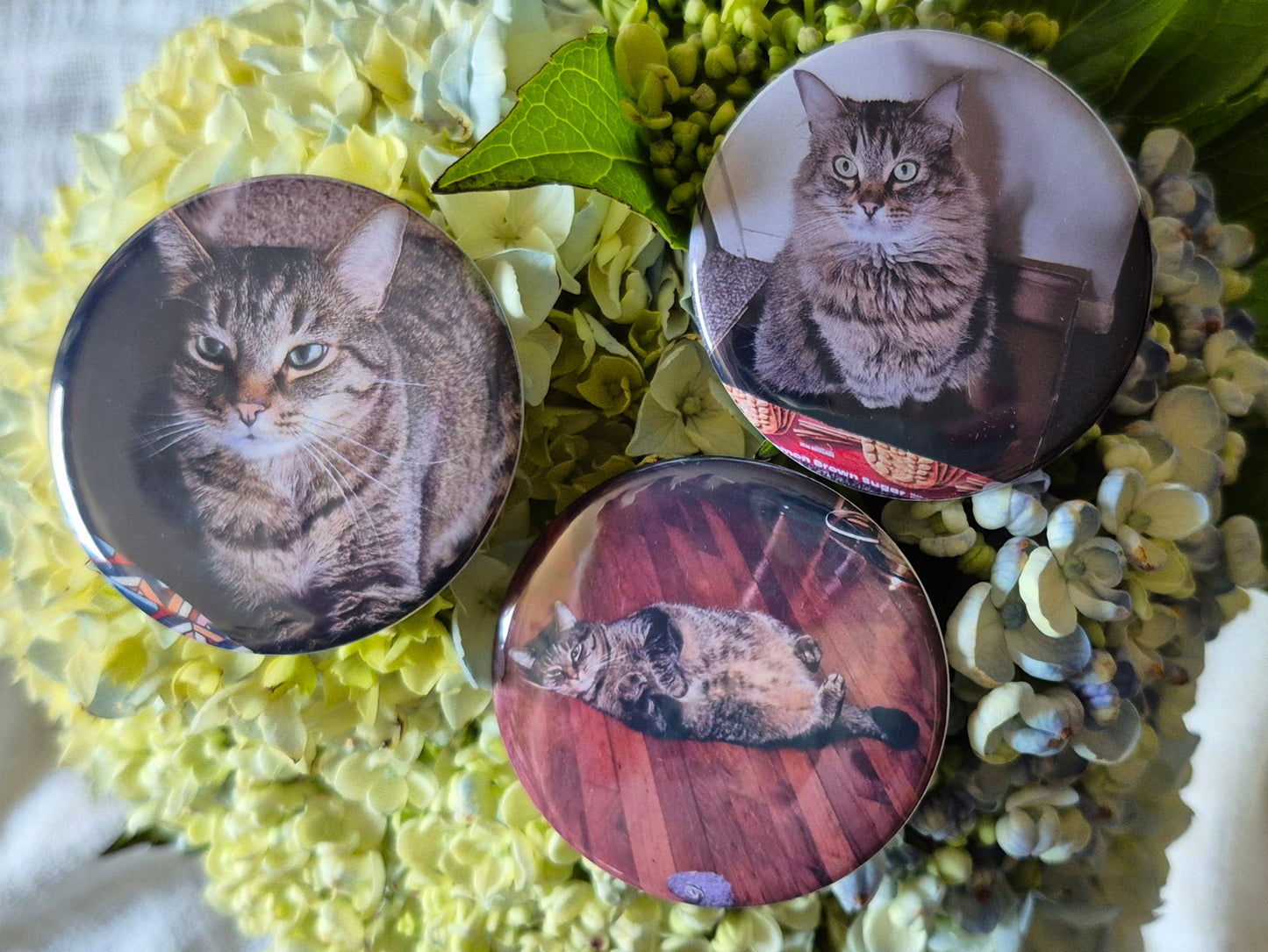 Custom Round Photo Magnet - Set of 9